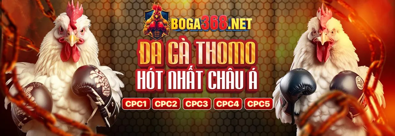 Hình ảnh minh họa cookie là gì, giải thích cơ chế hoạt động của cookie trên r88 nhà cái